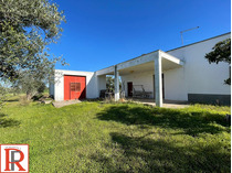 LOCALE DEPOSITO CON TERRENO AGRICOLO