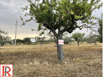 TERRENO AD EDIFICAZIONE DIRETTA GINOSA