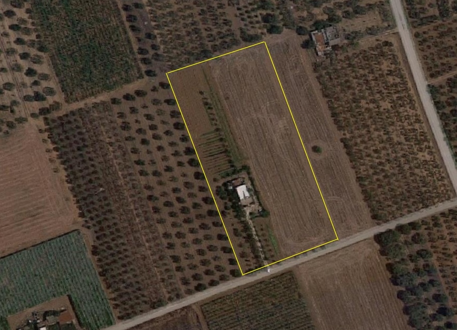 TERRENO AGRICOLO CON DEPOSITO – GINOSA