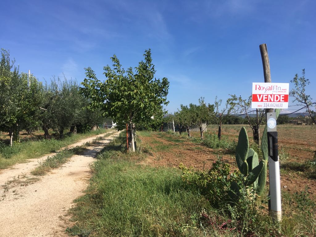 TERRENO AGRICOLO CON DEPOSITO – GINOSA