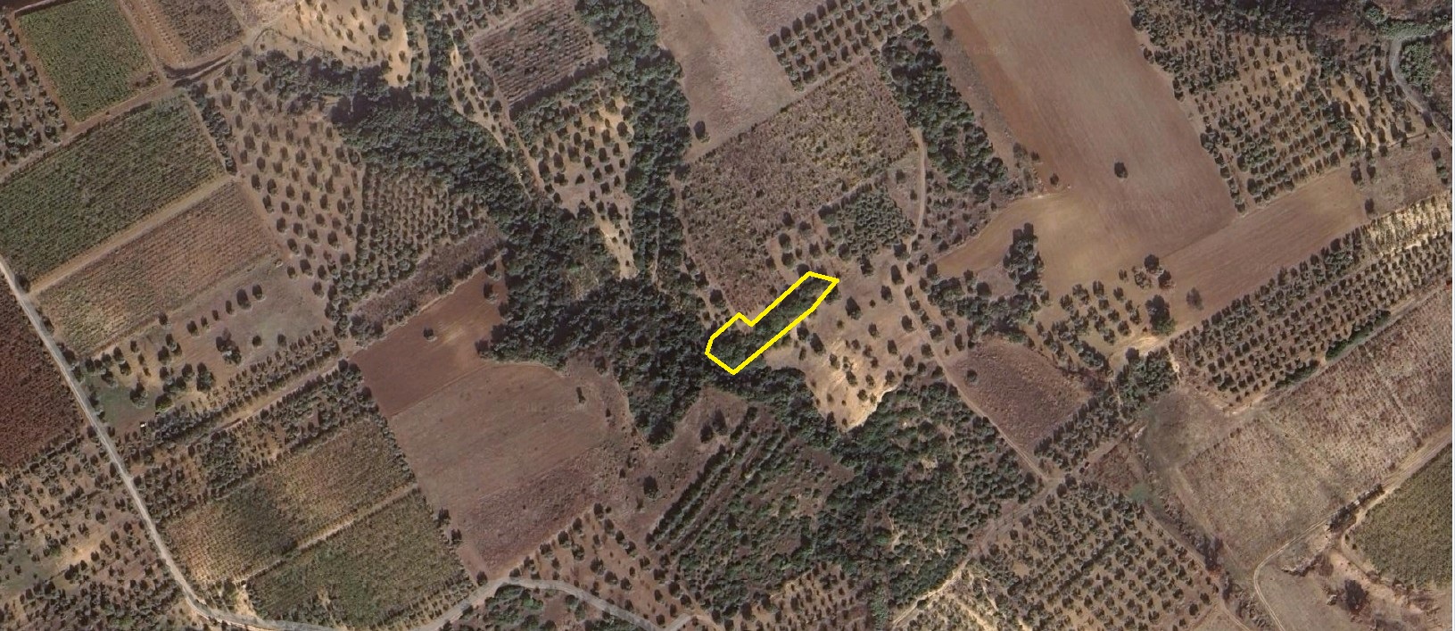 APPEZZAMENTI DI TERRENI AGRICOLI GINOSA