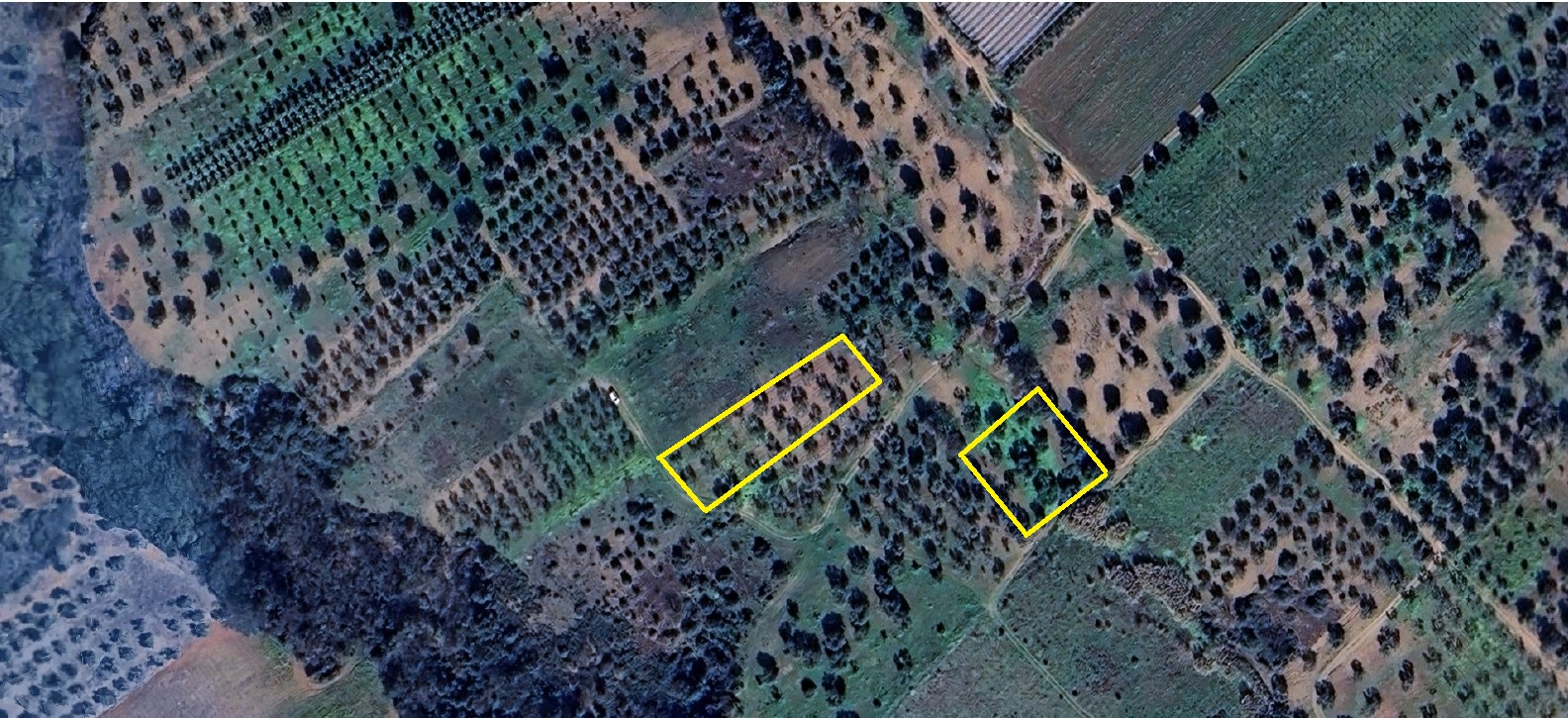 APPEZZAMENTI DI TERRENI AGRICOLI GINOSA