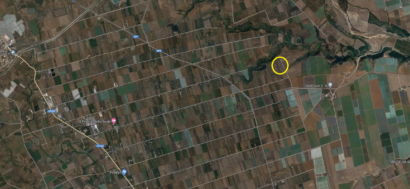 ULIVETO GINOSA – ZONA SAN FELICE