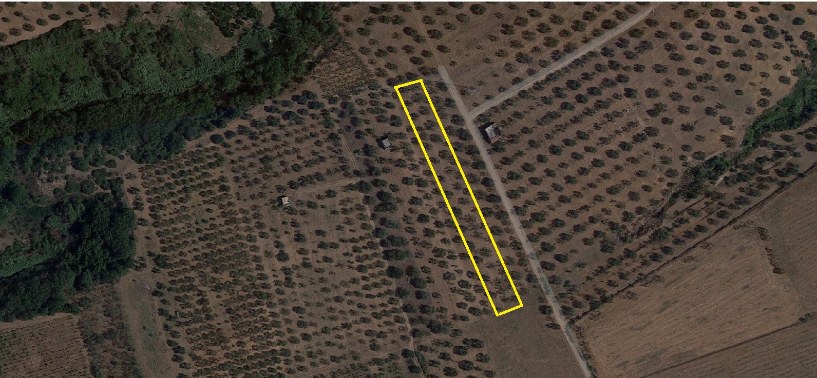 ULIVETO GINOSA – ZONA SAN FELICE