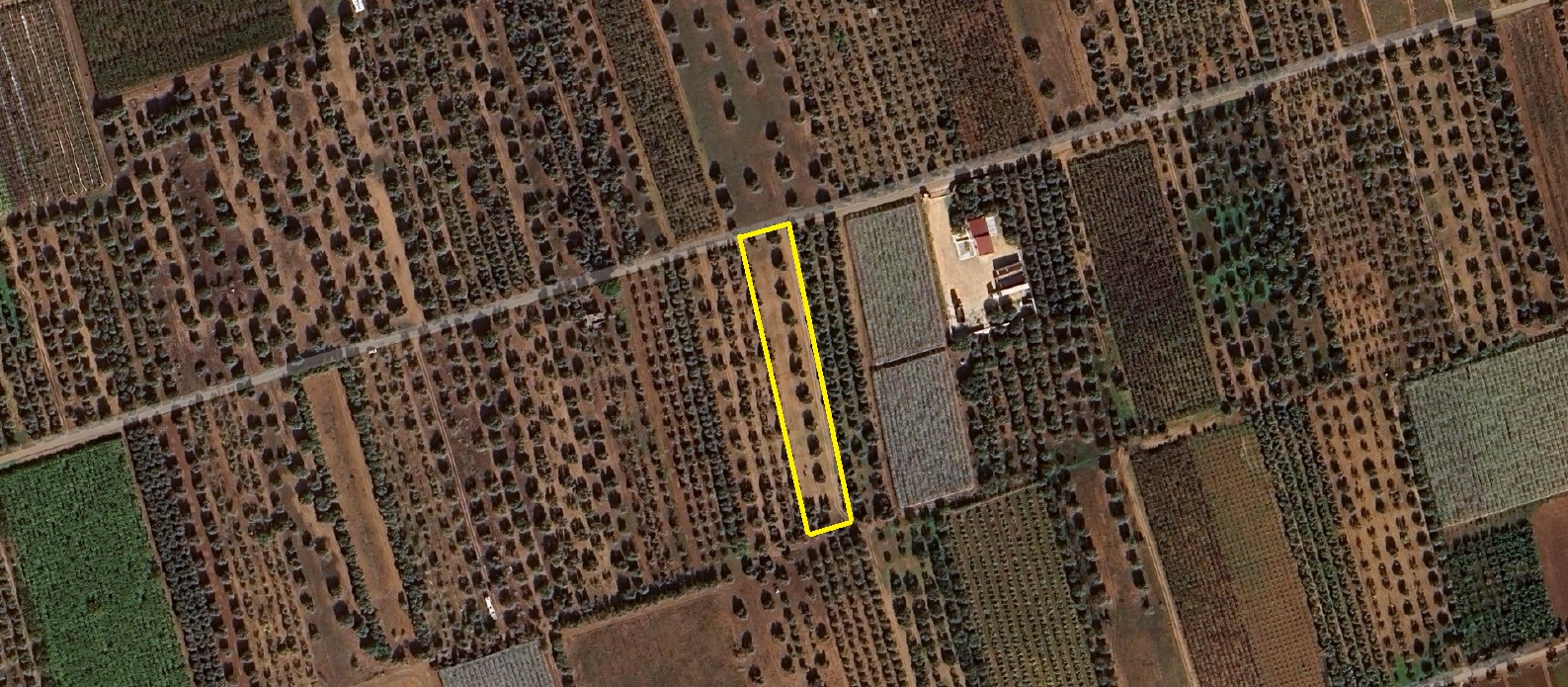 APPEZZAMENTI DI TERRENI AGRICOLI GINOSA