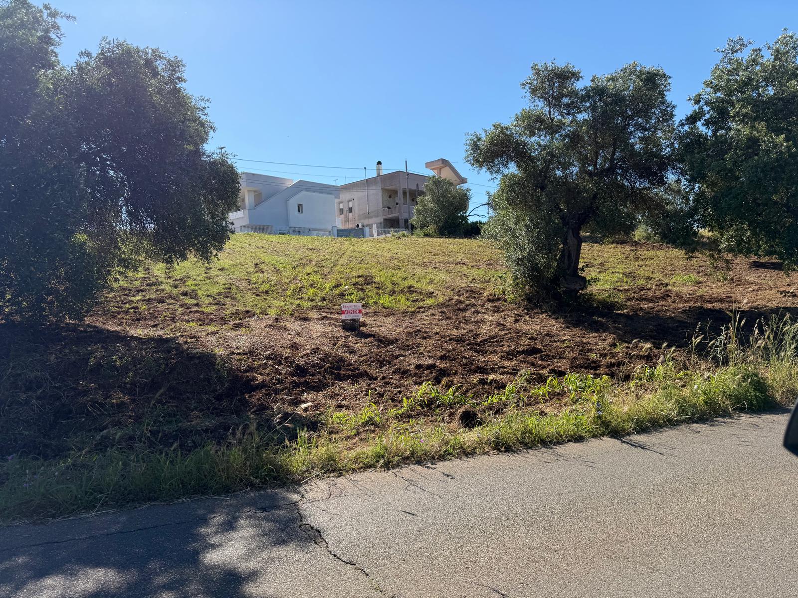 TERRENO ZONA C-2 DEL PRG – GINOSA – VIA MATERA